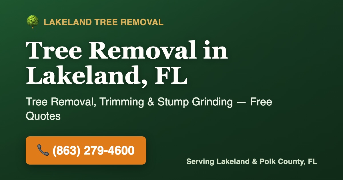Tree Removal in Lakeland, FL | Tree Service, Trimming & Stump Grinding ...